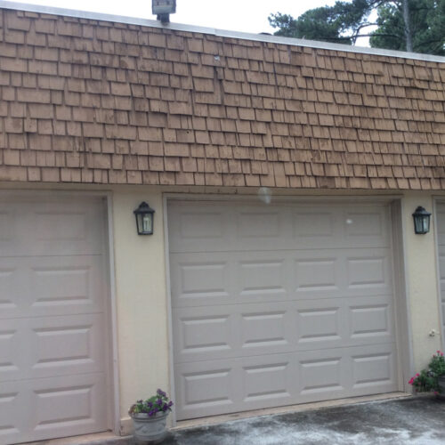 Commercial Wildlife Damage Repair
