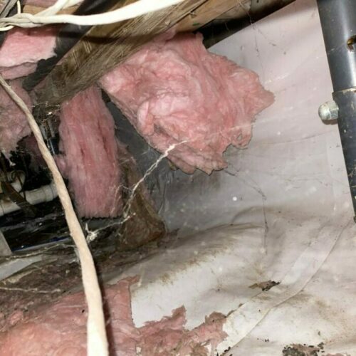Damage to Insulation in Attic